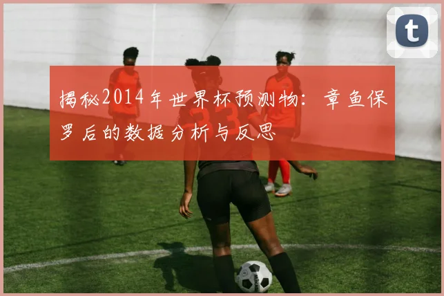揭秘2014年世界杯预测物：章鱼保罗后的数据分析与反思