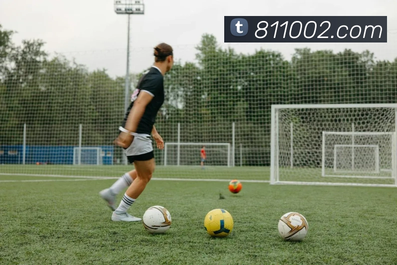 ac米兰最新官网服务体系