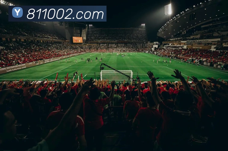 多媒体互动体验